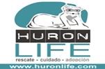 Huronlife