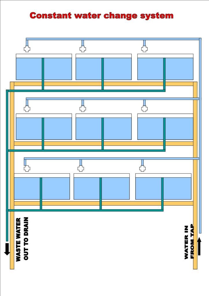 Constant water change system  Constantwaterchangesystem