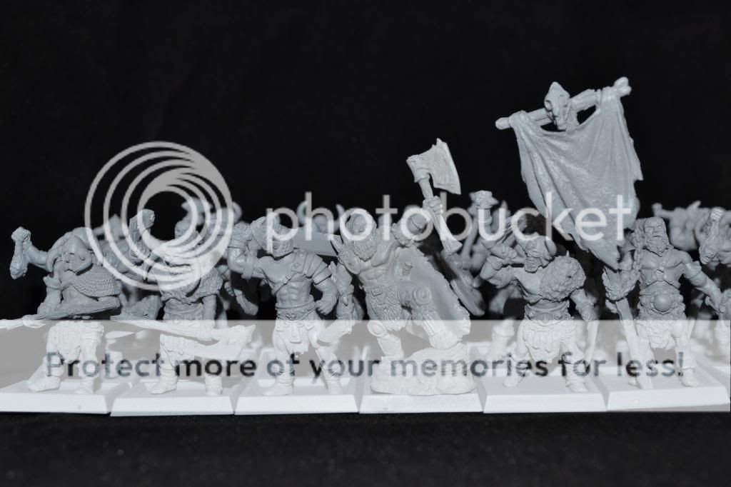 Shieldwolf Miniatures- Great War Mammooth .31 -  7 BarbarianHeroin7x3formation