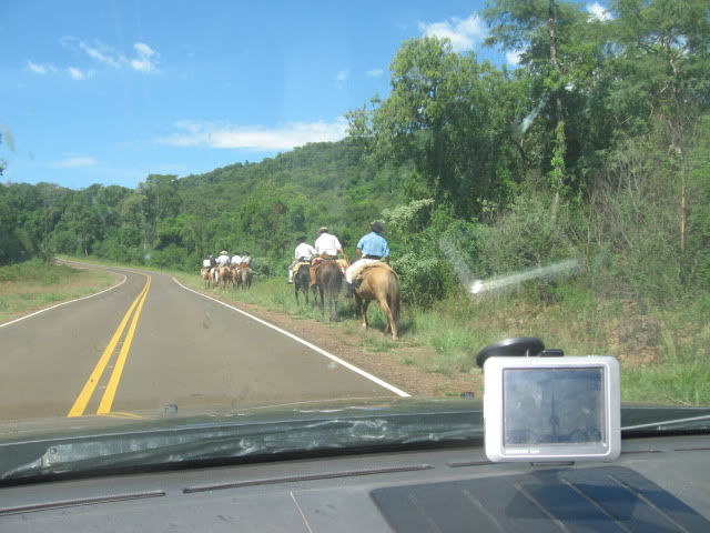 Viaje a Misiones y encuentro en Samborombon IMG_7390