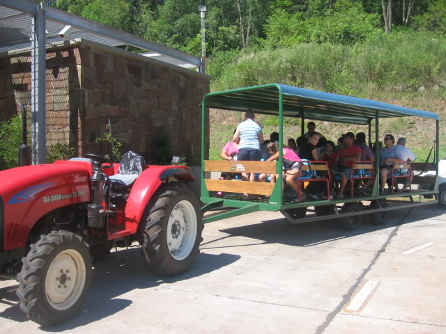 Viaje a Misiones y encuentro en Samborombon IMG_7395