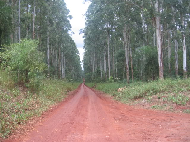 Viaje a Misiones y encuentro en Samborombon IMG_7851