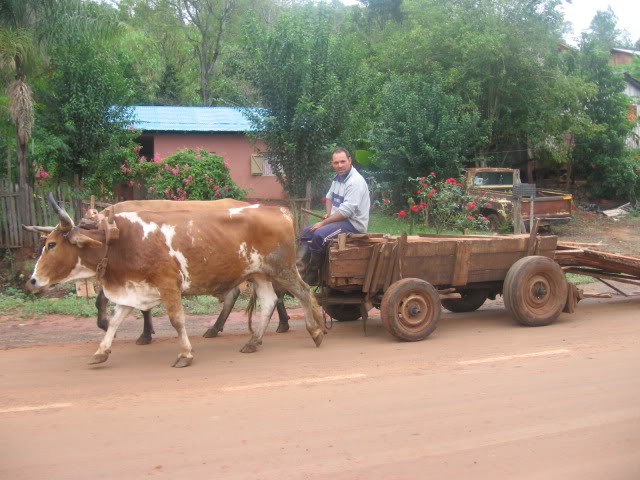 Viaje a Misiones y encuentro en Samborombon IMG_7861