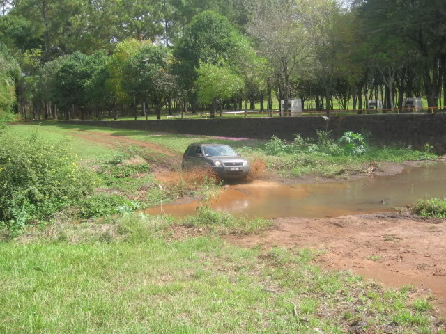 Viaje a Misiones y encuentro en Samborombon IMG_8035