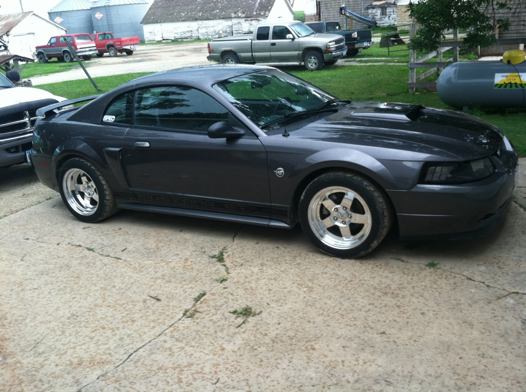 04 mustang gt  14447026