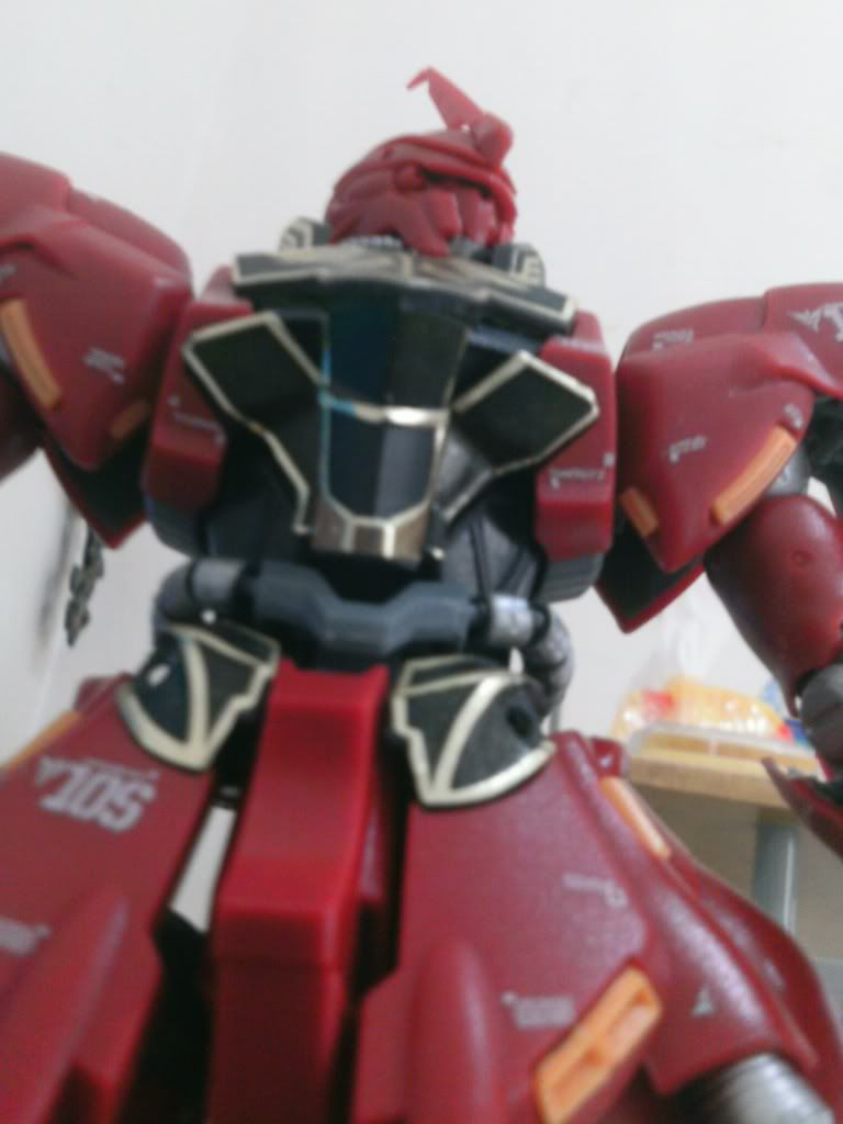 Sinanju MG 1/100  PIC_0021