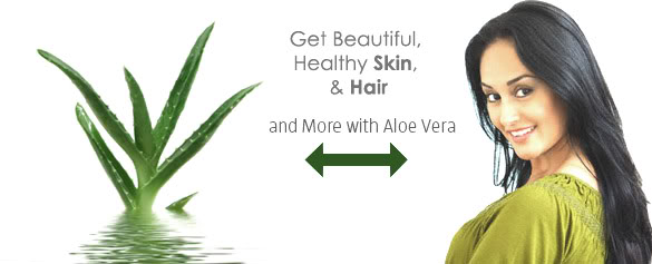 Aloe Vera For Skin & Hair Aloe-banner