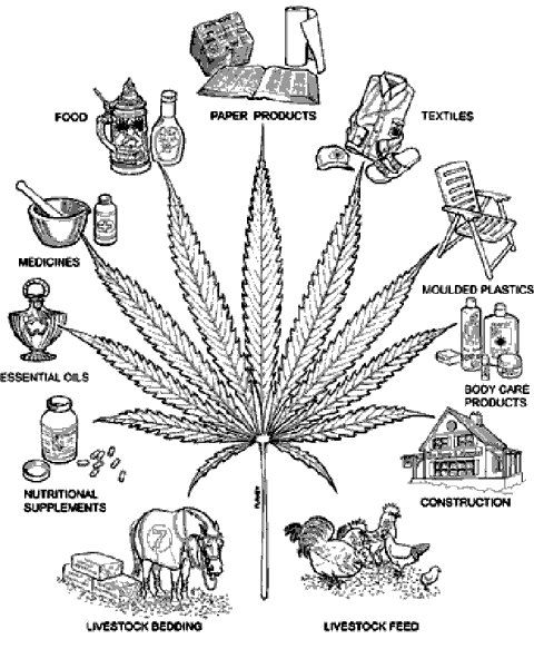 Industrial hemp, nutritional hemp verses Therapeutic Marijuana Marijuana_sql