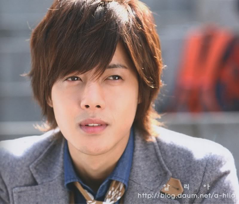 Diario de Playful Kiss L-PLA62