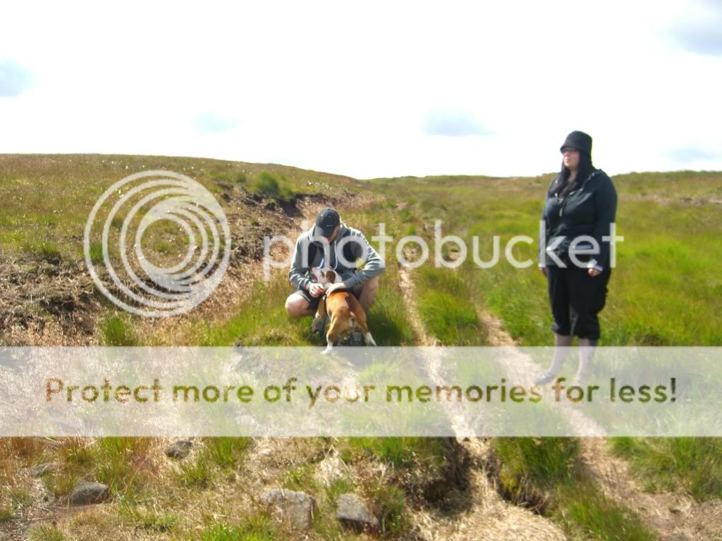 Pics from Blackstone Edge today Bedge007