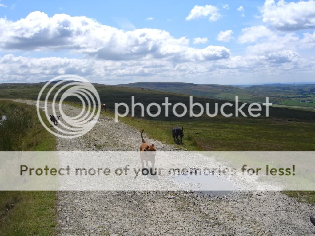 Pics from Blackstone Edge today Bedge022