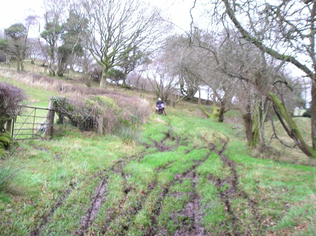 sunday 20th llandovery to brechfa 052-3