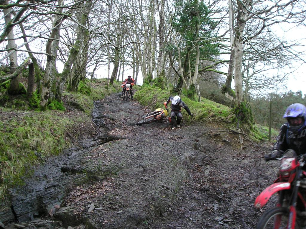 Sun 6th - Kington and back the slippery way - Page 3 071-1