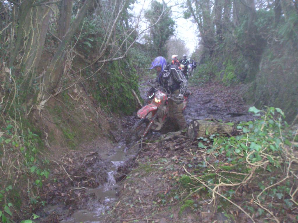 sunday 20th llandovery to brechfa 084-1