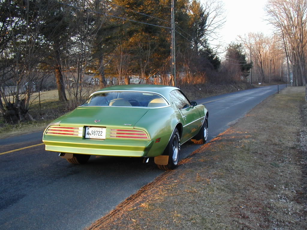 My Greenbird.  1976 Metalime Green Pontiac Firebird Esprit P1010014