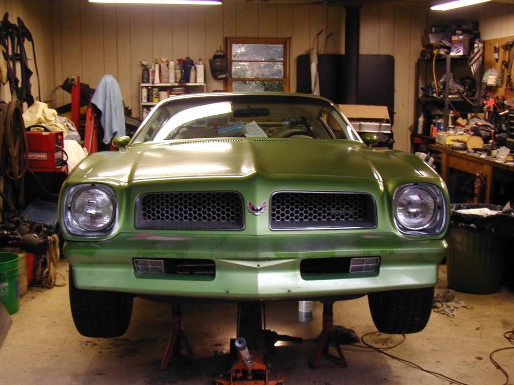 My Greenbird.  1976 Metalime Green Pontiac Firebird Esprit P1010054