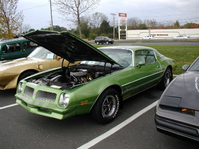 My Greenbird.  1976 Metalime Green Pontiac Firebird Esprit P1010008-3-1