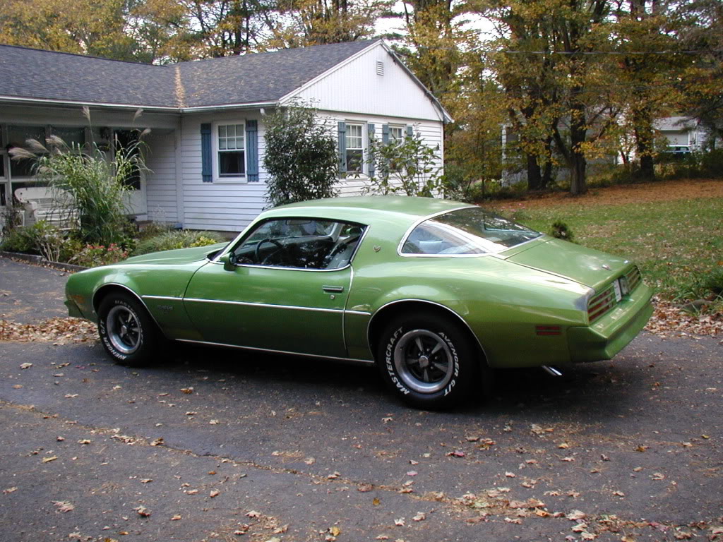 My Greenbird.  1976 Metalime Green Pontiac Firebird Esprit P1010008-5