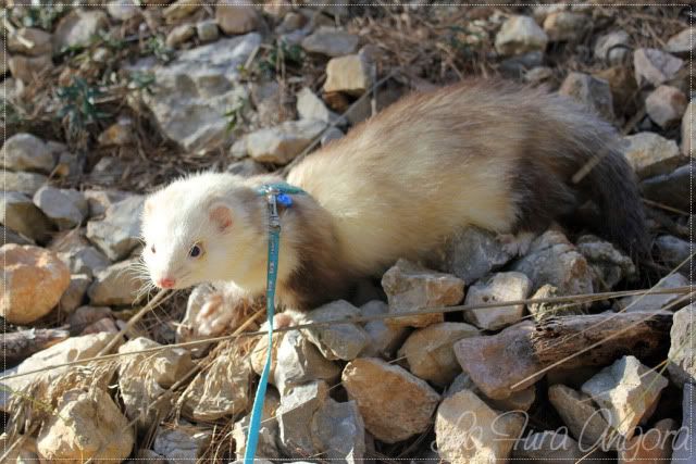 * FotoAlbum de los Gominolas *  - ¡Al solecito! :) 14f3cb59