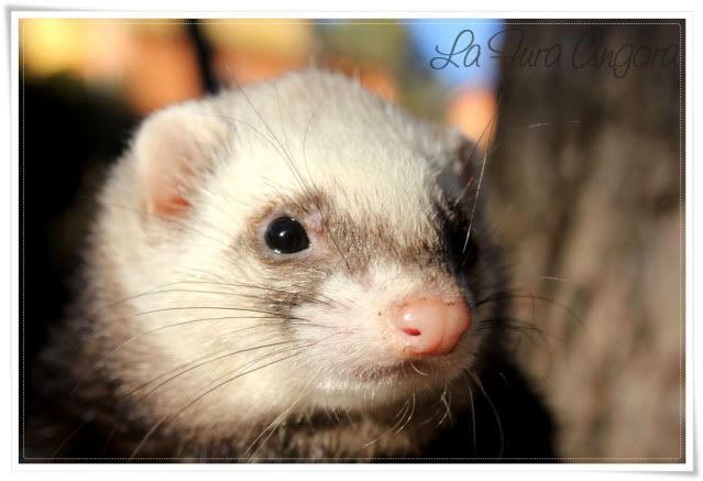 * FotoAlbum de los Gominolas *  - ¡Al solecito! :) 9831a958