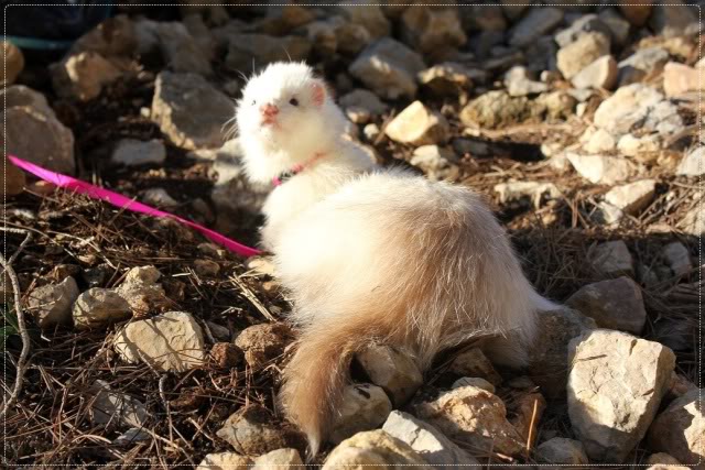 * FotoAlbum de los Gominolas *  - ¡Al solecito! :) Eefa7af3