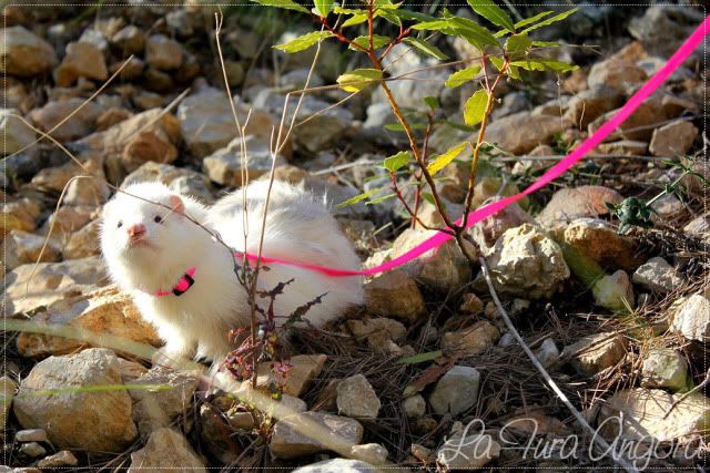 * FotoAlbum de los Gominolas *  - ¡Al solecito! :) F0b3e29e