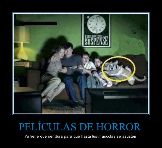 Imagenes Graciosas XD - Página 30 CR_705487_peliculas_de_horror