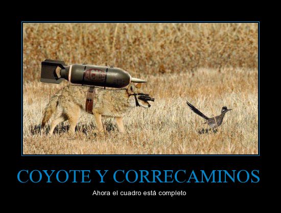 Imagenes Graciosas XD - Página 30 CR_706080_coyote_y_correcaminos