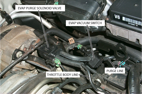 Write-up: EVAP Filter Canister Replacement for 97 Riviera (SES/DTC P0441) Vacuum_purge-switch