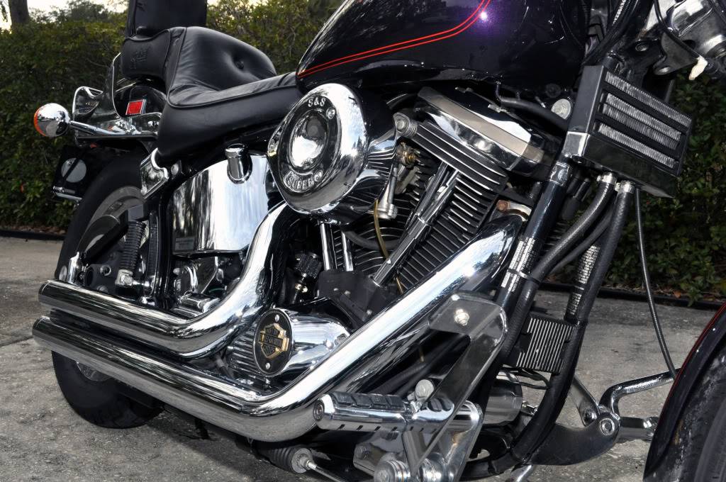 Looking for new lover! 1989 Harley-Davidson Softail Custom (FXSTC) 13