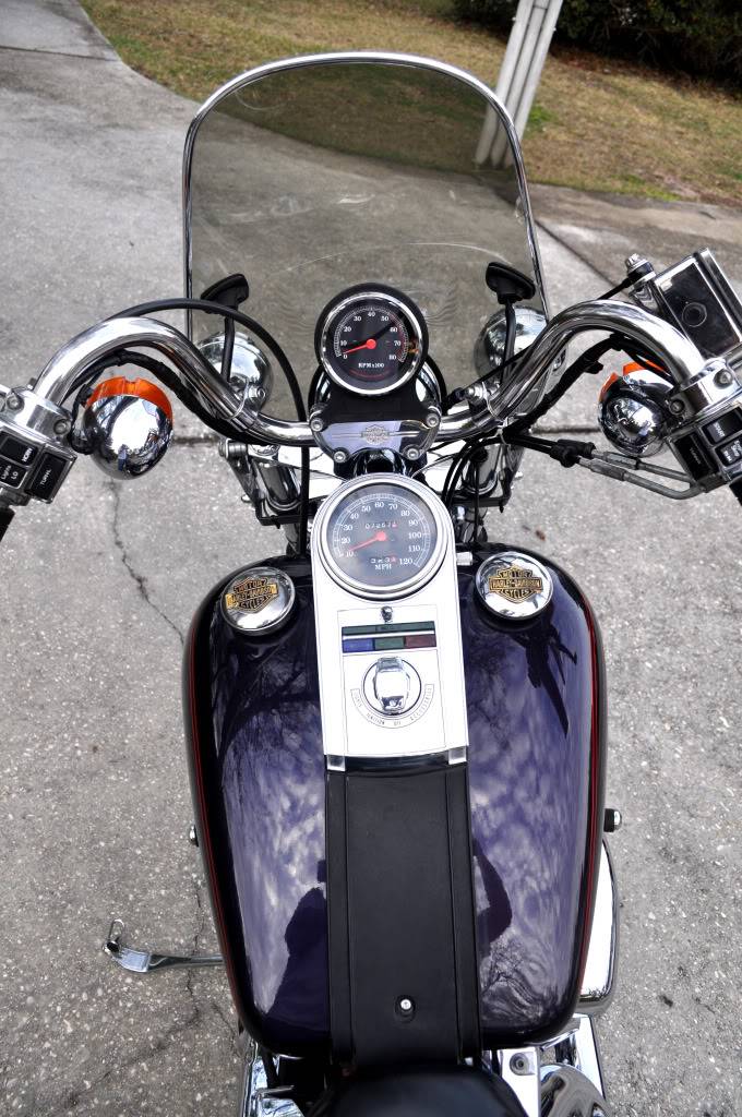 Looking for new lover! 1989 Harley-Davidson Softail Custom (FXSTC) 18