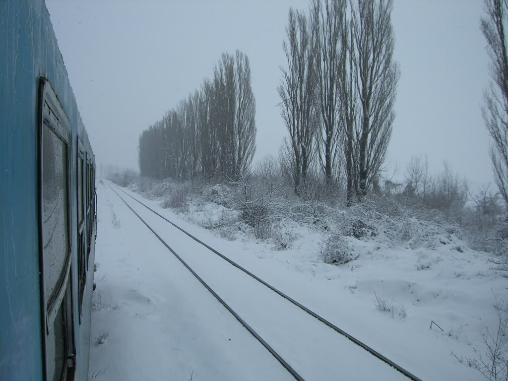 101 : Bucuresti Nord - Titu - Pitesti - Piatra Olt - Craiova CIMG5428