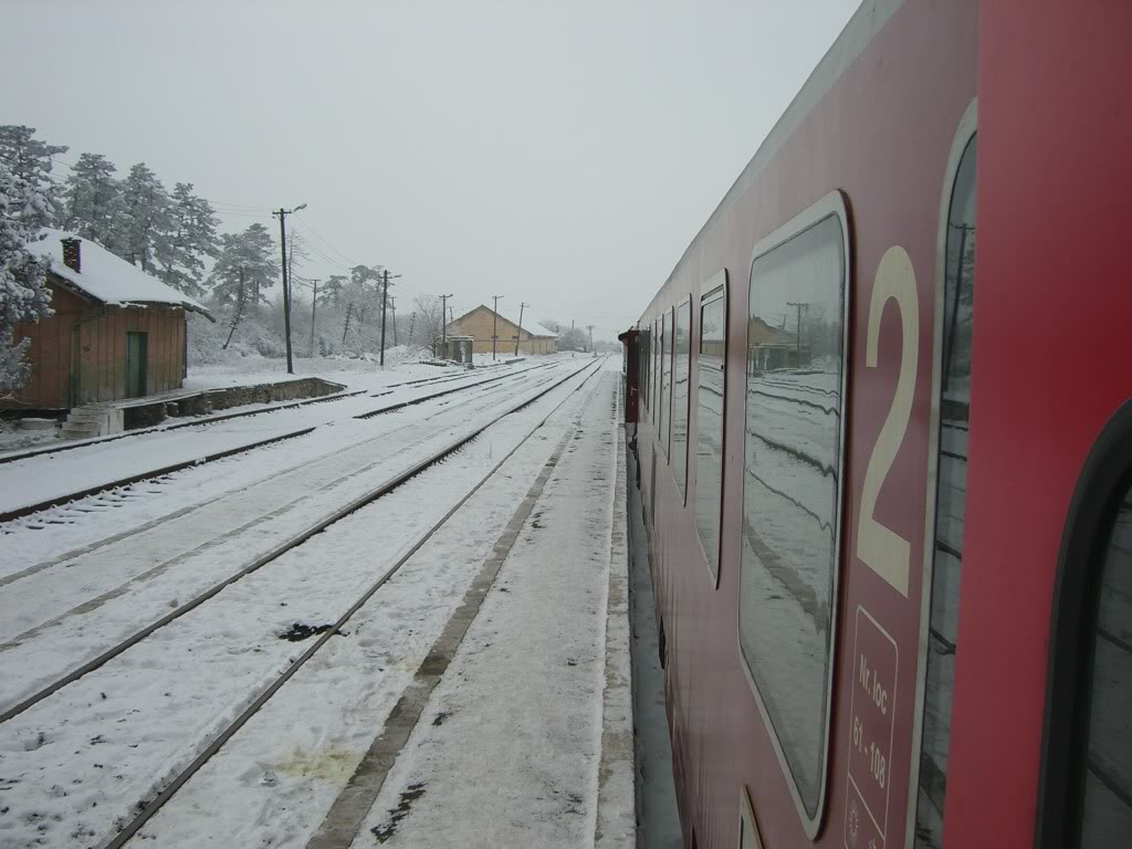 118 : Timisoara Sud - Buziaş CIMG5125