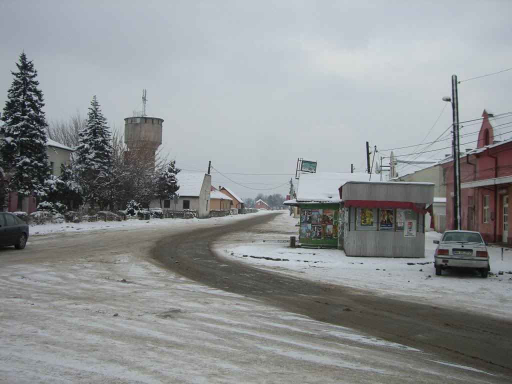 409 : Salva - Viseu de Jos - Sighetu Marmatiei - Pagina 2 CIMG5217