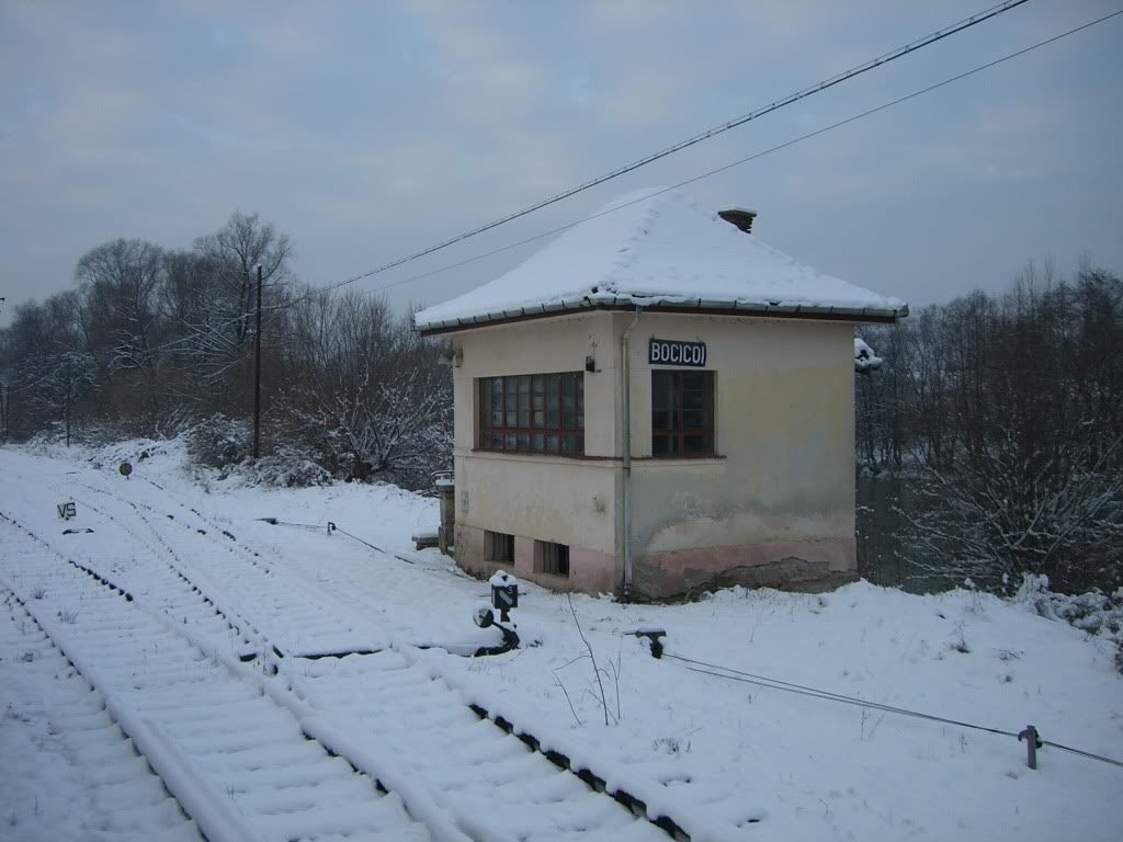 409 : Salva - Viseu de Jos - Sighetu Marmatiei - Pagina 2 CIMG5235