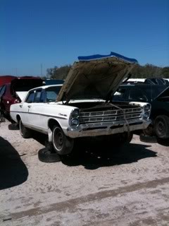 JACKPOT!   Laird is THE MAN and Florida salvage yards are good! Photo13