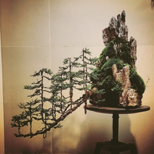 Forest cascade juniper first styling - Page 2 IMG_20150908_154601