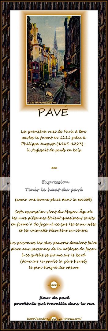 PAVE - TENIR LE HAUT DU PAVE EXPRESSION 44-14