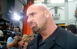 Loge de Bill goldberg  BillGoldberg18