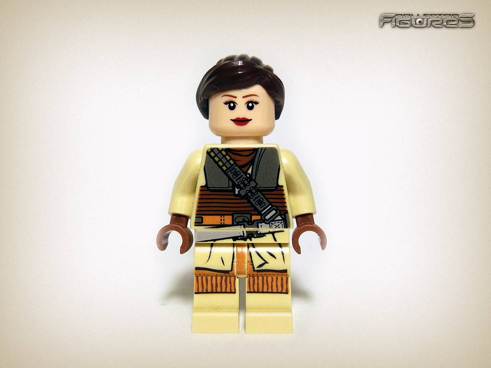 [LEGO] STAR WARS 2013 SW-LEGO-minifigures-005_zps317e882d