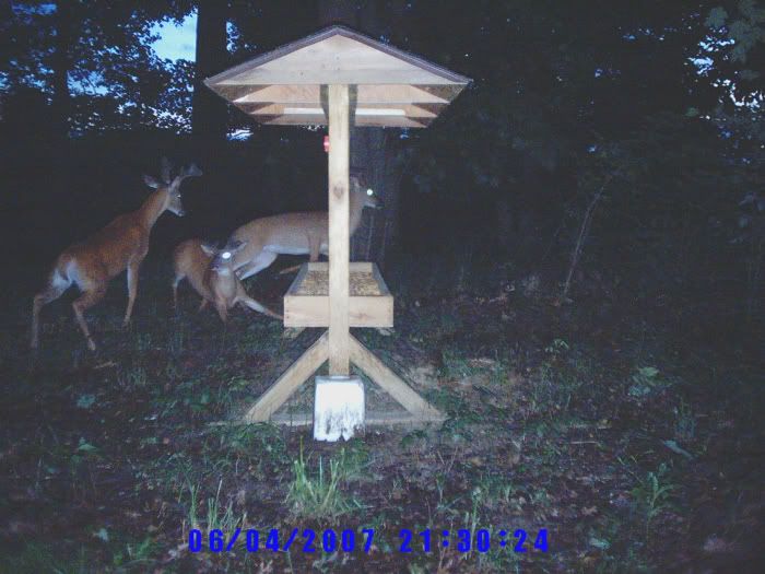 Lets see some of your unusual trail cam pics Feeder1