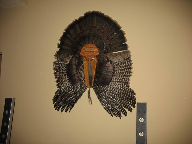 Custom Made Turkey Plaque For Joes Kansas Jelly Head IMG_0181