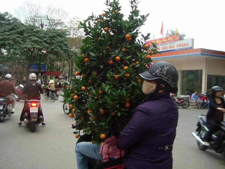 Chúc mừng năm mới Canh Dần - 2010 DSC02622