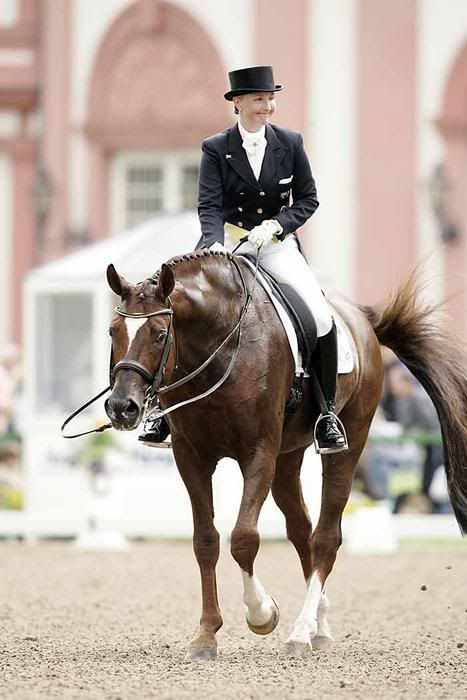 DON BOLERO DE BROMONT #OLD0803T -3ans - Oldenbourg - Guinness de Bromont X Sambucca Van DC M0723d0743oatleydonbjpg1_large