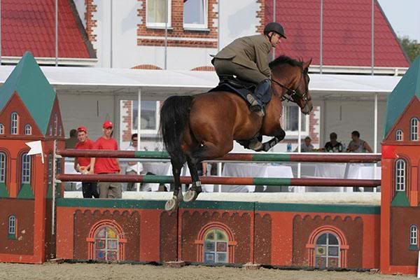 OPLEMOUSSE HOY DE LA PERRIERE - 8ans - Selle Franais - Le Top Du Moulin X Hatilade de Belfort ~ Reproduit en CSO ~ #SF TRES BONNE Oplemousse5