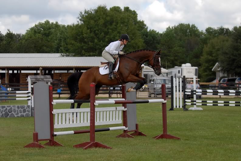 ROCK'N'LOVE II DE LIVOYE  -5ans - BWP - Bentley de la Loire X Lune de l'Ermitage Oblige7-1