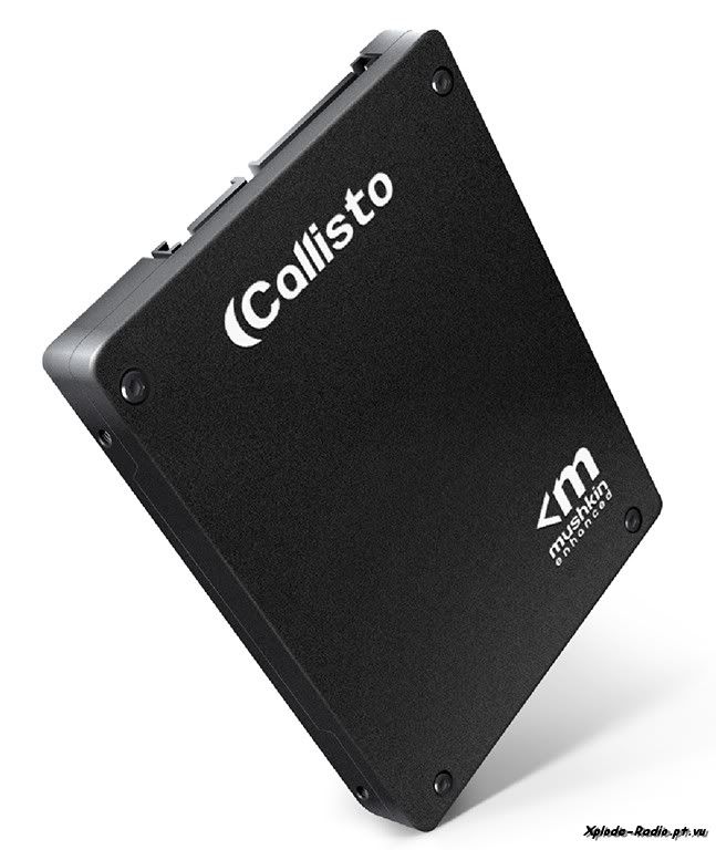 Primer on the SSD Market and Mushkin, Inc.'s Plans in the Segment 132a-1