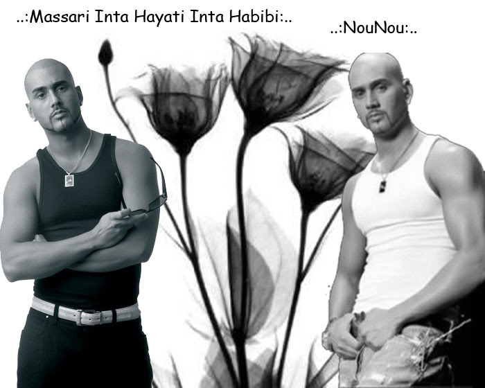 مســـــاري (تقرير وصور ) Massari-11