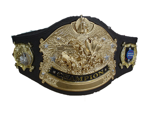 PWP Titles PWPChampion