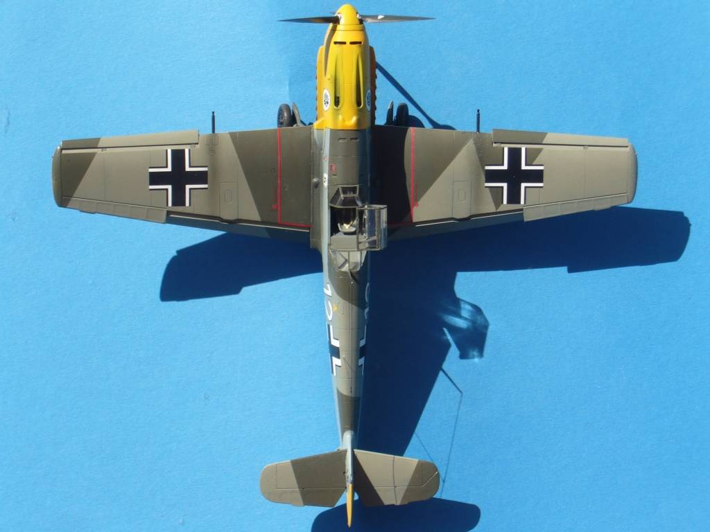 Bf 109E-7, Vit 12 (tamiya 1/48) P1070086_zpsccbca6b8